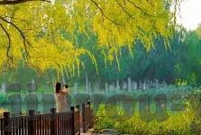 国外足球比分预测网-解锁海外绿茵密码,国外足球比分预测网的深度探索与实用指南