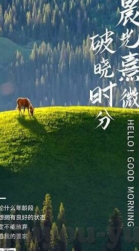 足球比分y足球即时比分ibo5-足球比分与即时数据,ibo5平台如何重塑球迷观赛体验